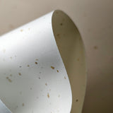 The Grass and Wood Series(Cocoa Paper)