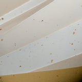 The Grass and Wood Series(Cocoa Paper)
