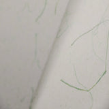 Fiber Series(Hemp Paper)
