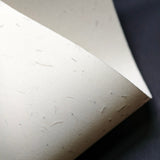 The Grass and Wood Series(Wilderness Paper)